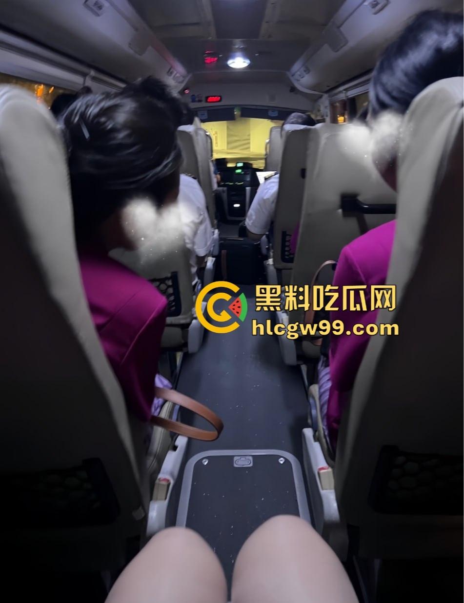 南航高颜值极品空姐【苏楠楠】被曝私底下是母狗一条， 与头等舱的金主爸爸约炮穿制服被干的嗷嗷叫！-14