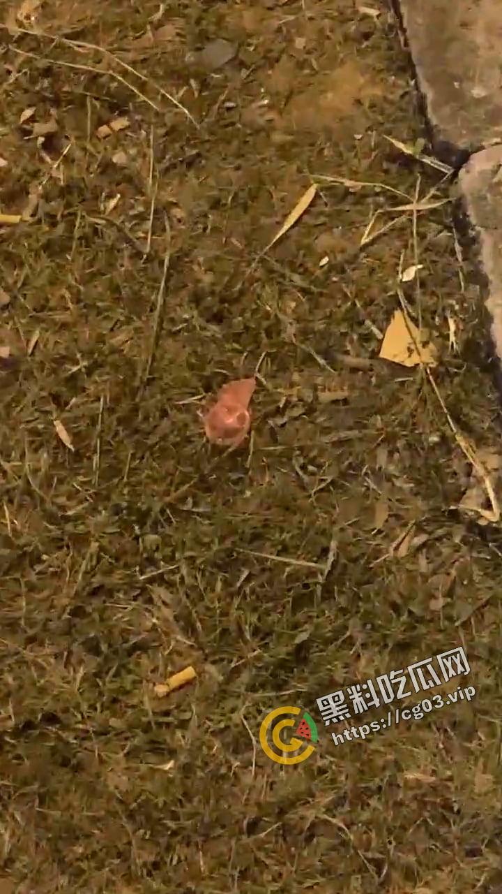 城市学院 小情侣校园路灯下台阶户外活动 被女生宿舍全程偷拍下来 还带解说野战-3