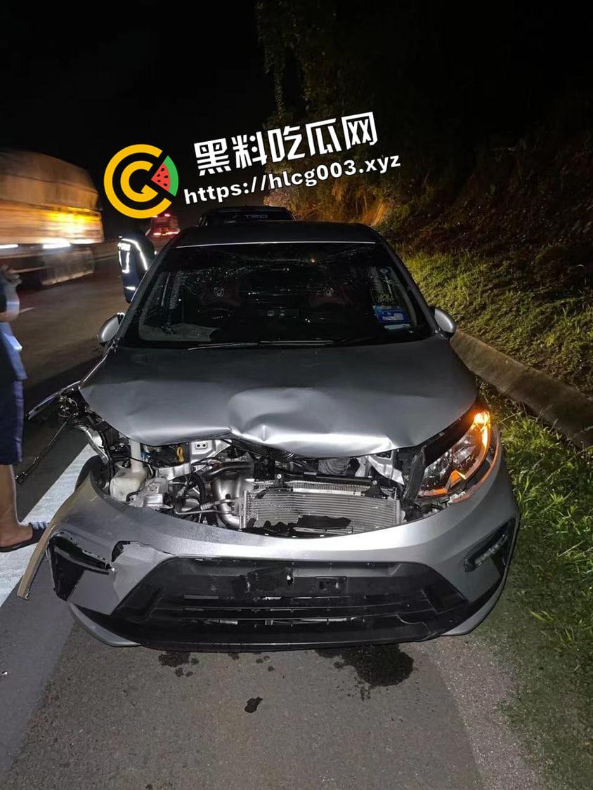 武松在世 高速路上撞死老虎 这下能吹一辈子了 行车监控视频流出-1